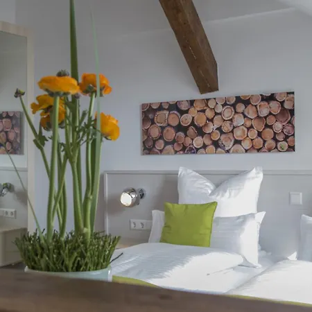Business - Boardinghouse Hotel Bühl