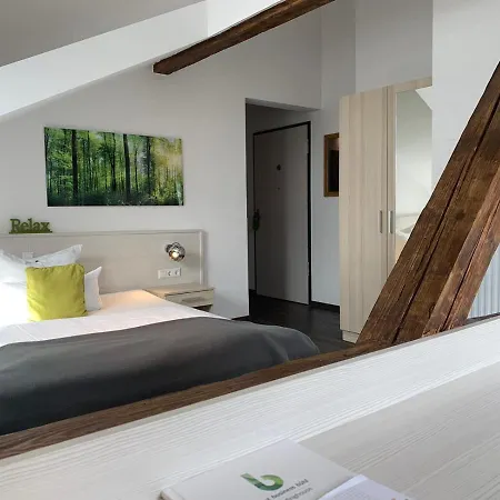 Отель Business - Boardinghouse 3*