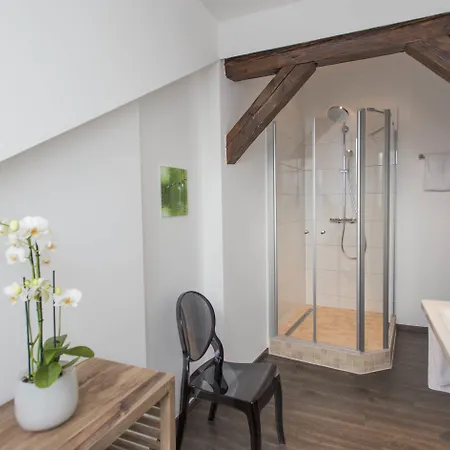 Business - Boardinghouse 3* Bühl